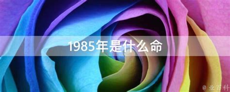 1985年是什么年